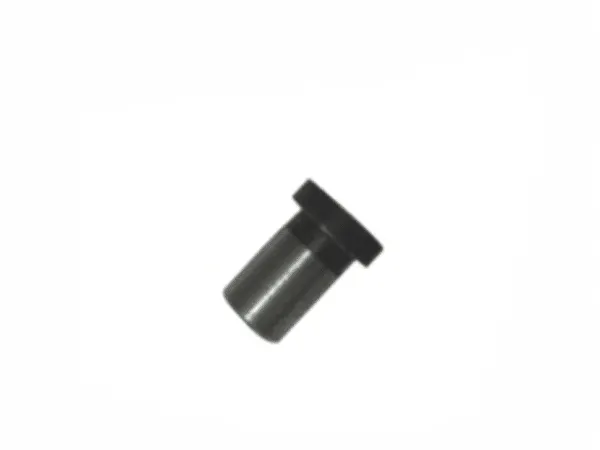 Fixed screw