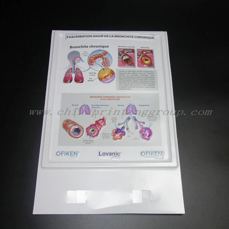 3D PVC desktop chart used on a clinic consultation desk