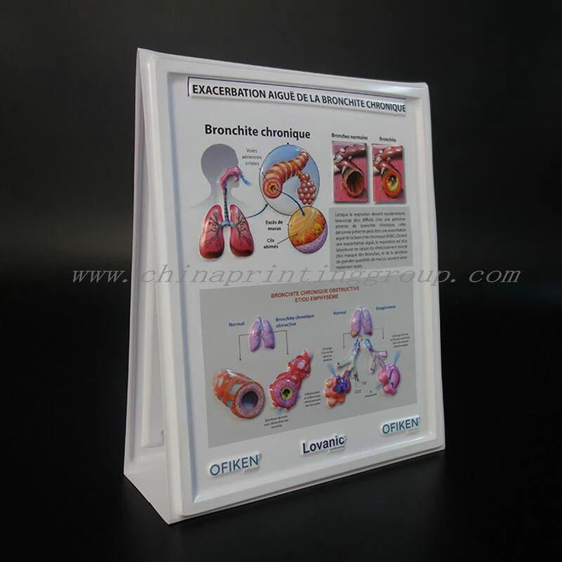 Embossed PVC medical chart showing raised anatomical detail