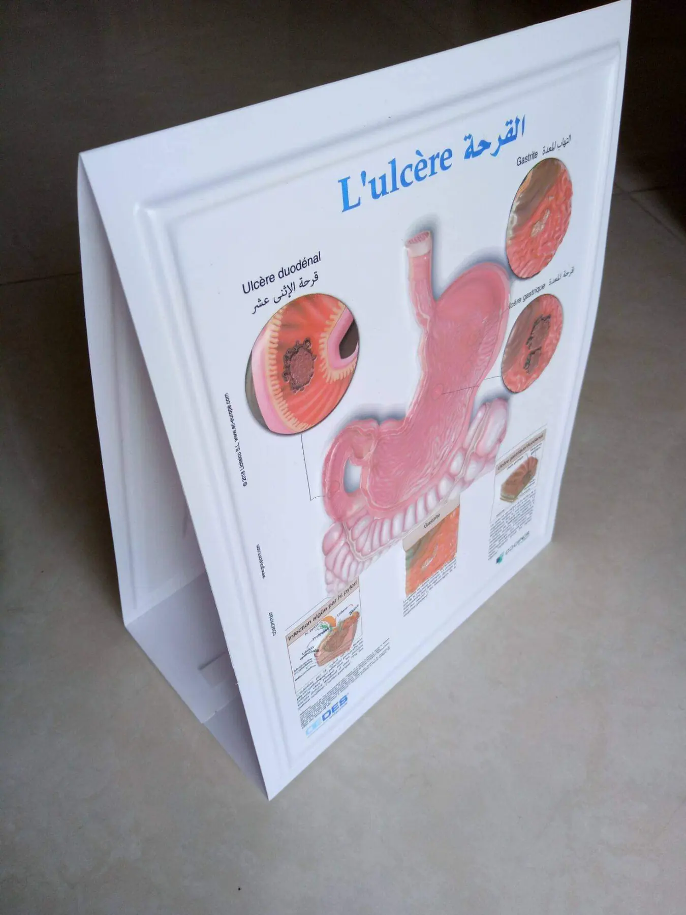 PVC posters printing printed by China Printing Group