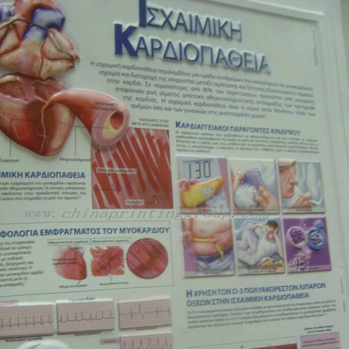 Large format 3D PVC poster used as a teaching chart