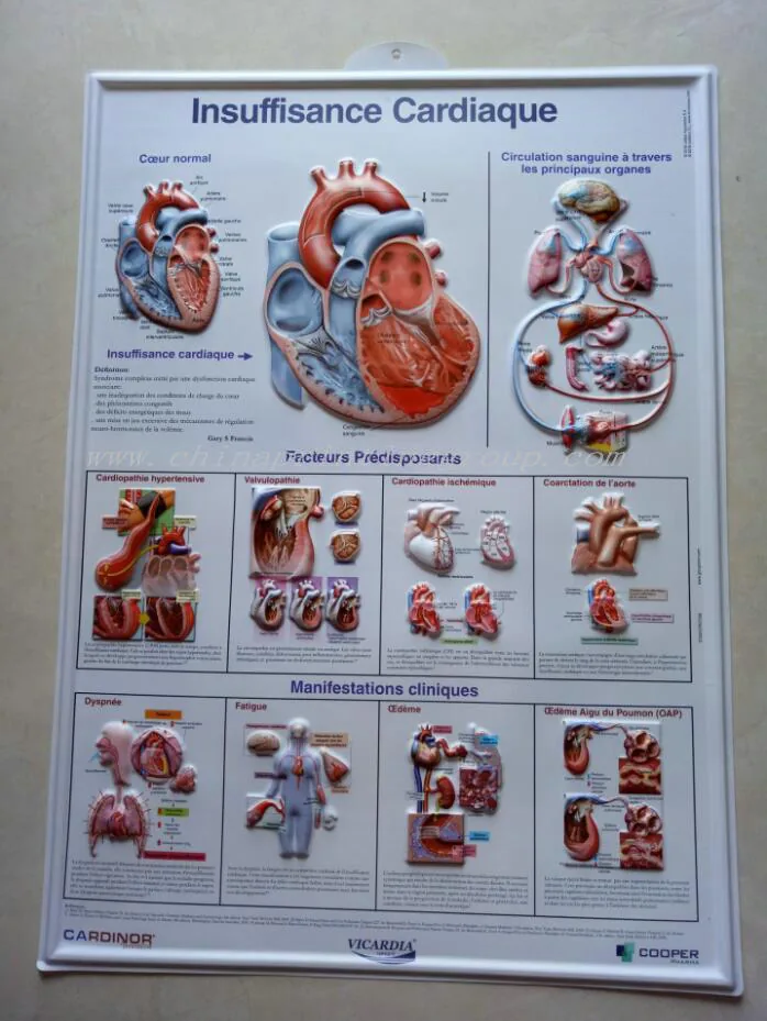 Custom 3D embossed PVC poster printed for advertising and promotion
