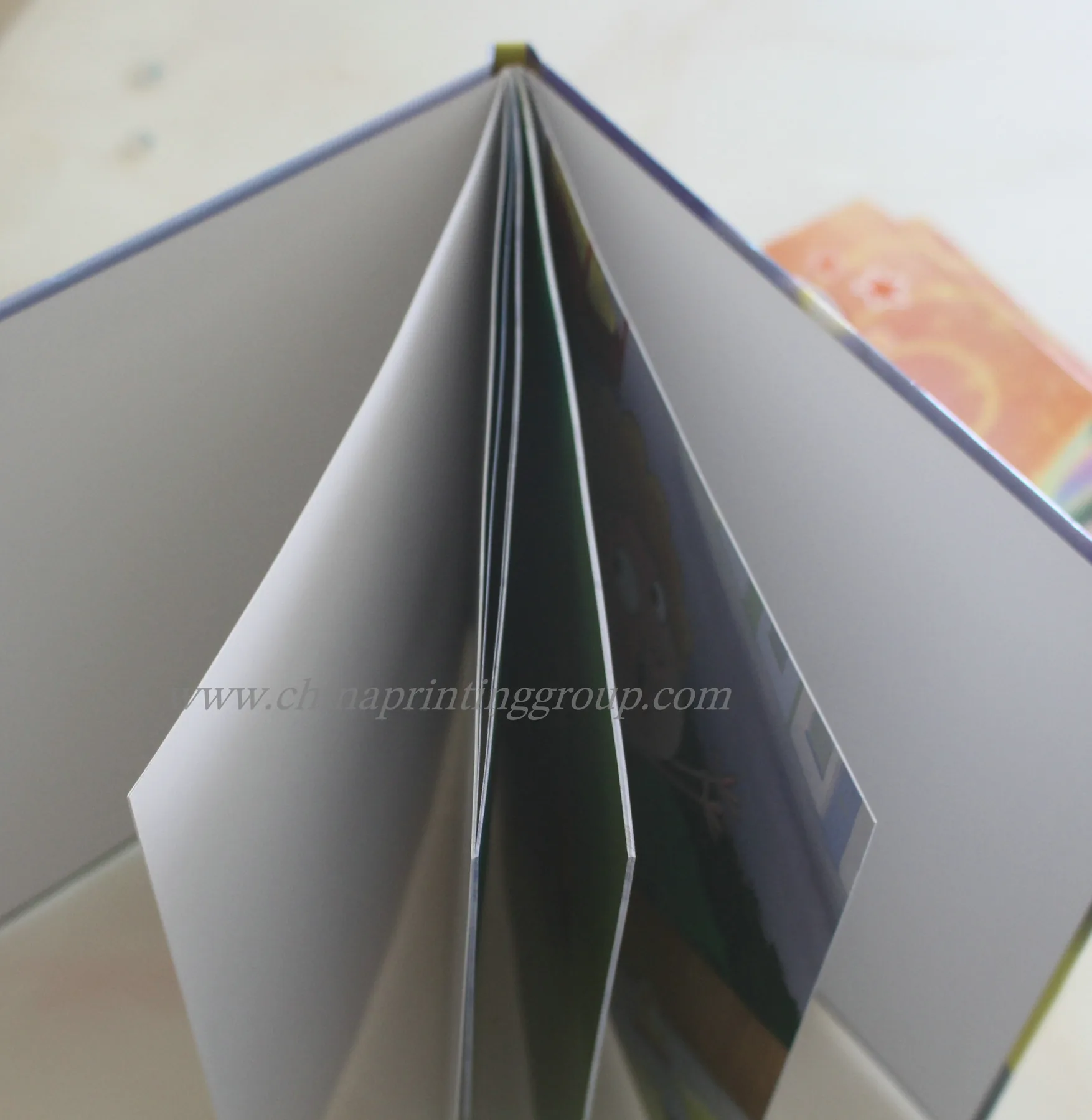 Board book opened showing thick cardboard pages and illustration