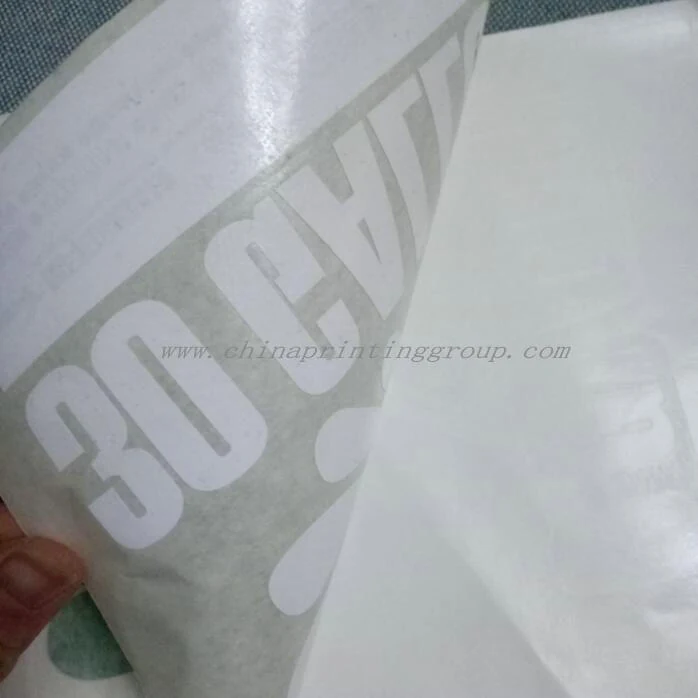 Custom vehicle branding decal on a van side panel
