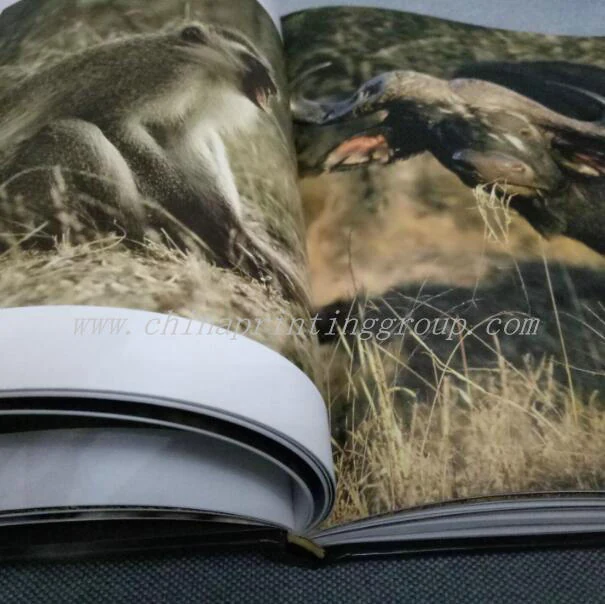 Hardcover photo book printed in CMYK on art paper