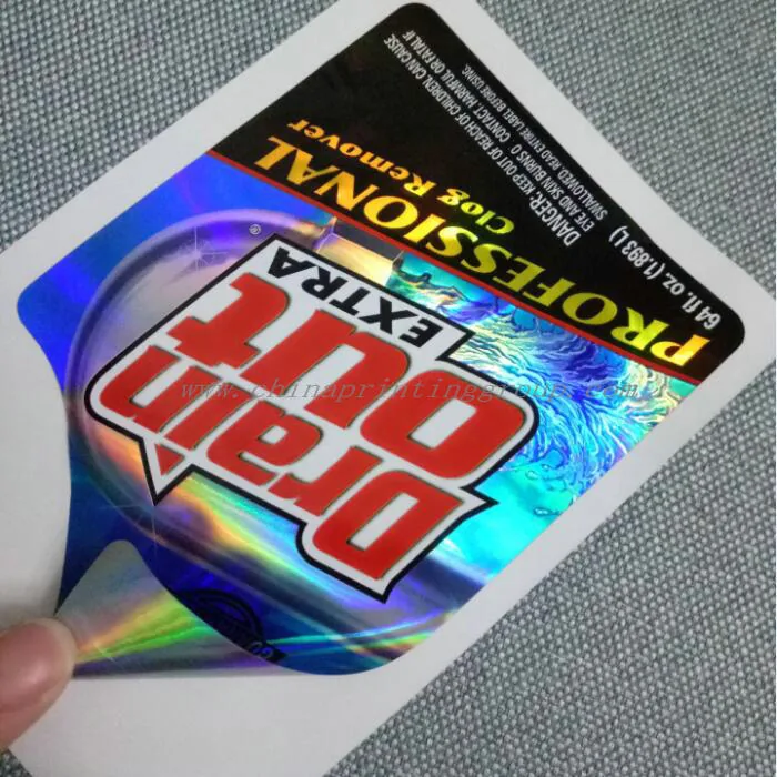 Holographic security seal applied across a package closure