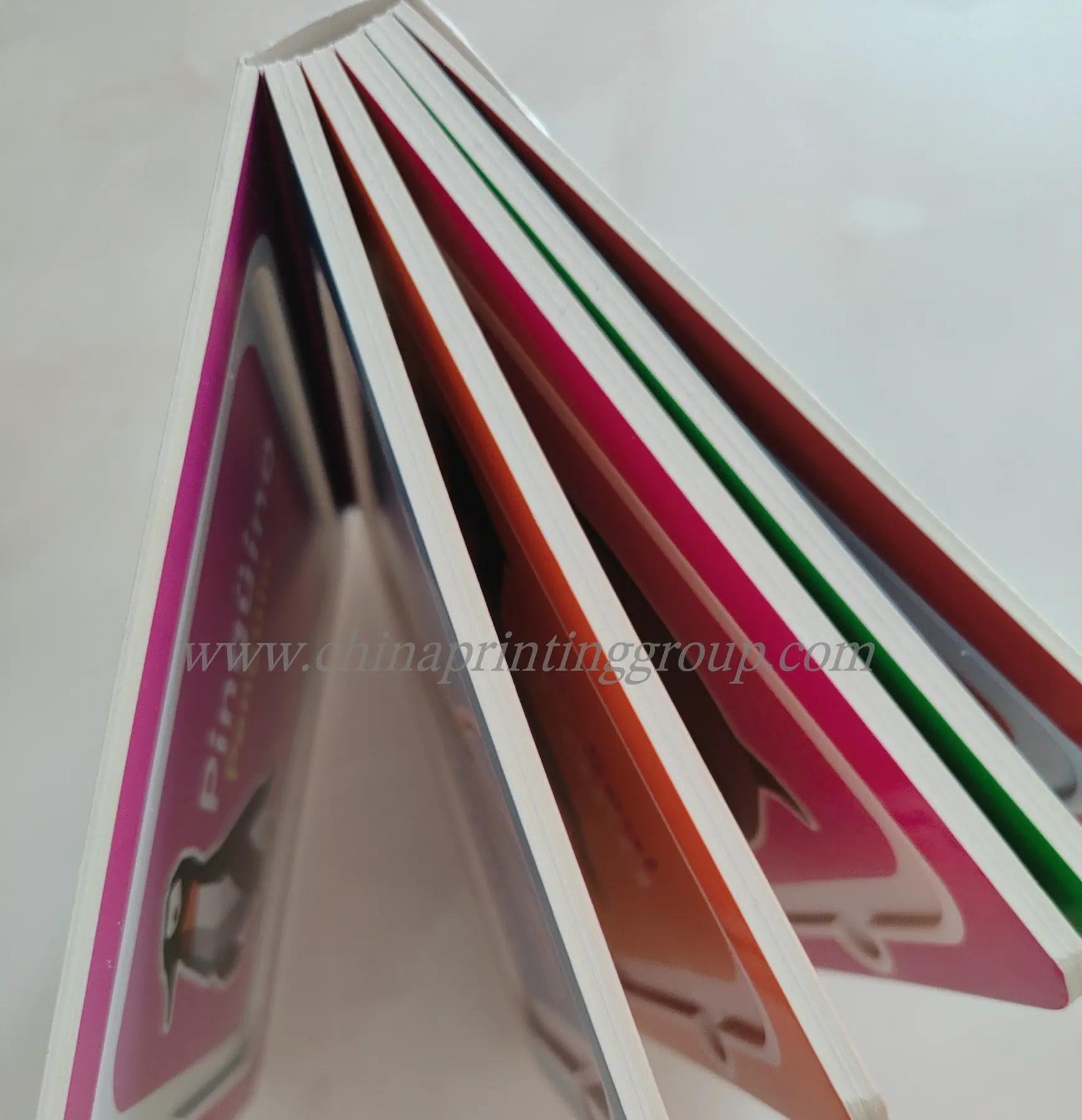 Illustrated board book spread printed in 4C+4C CMYK