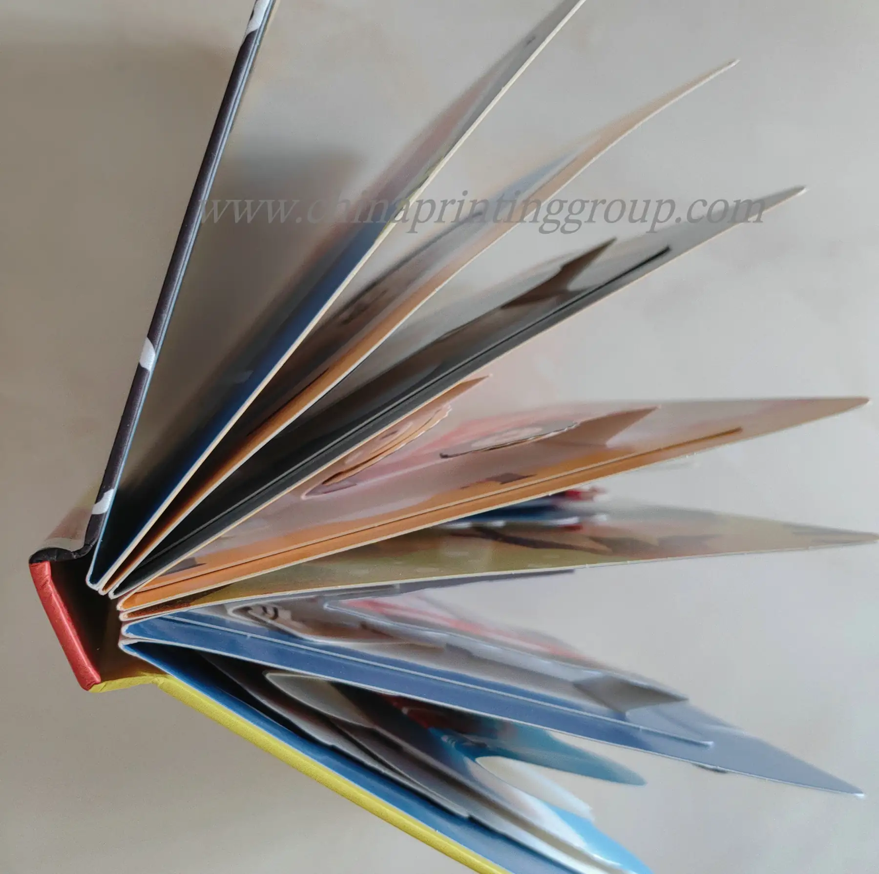 Cardboard children's book with round corners shown open