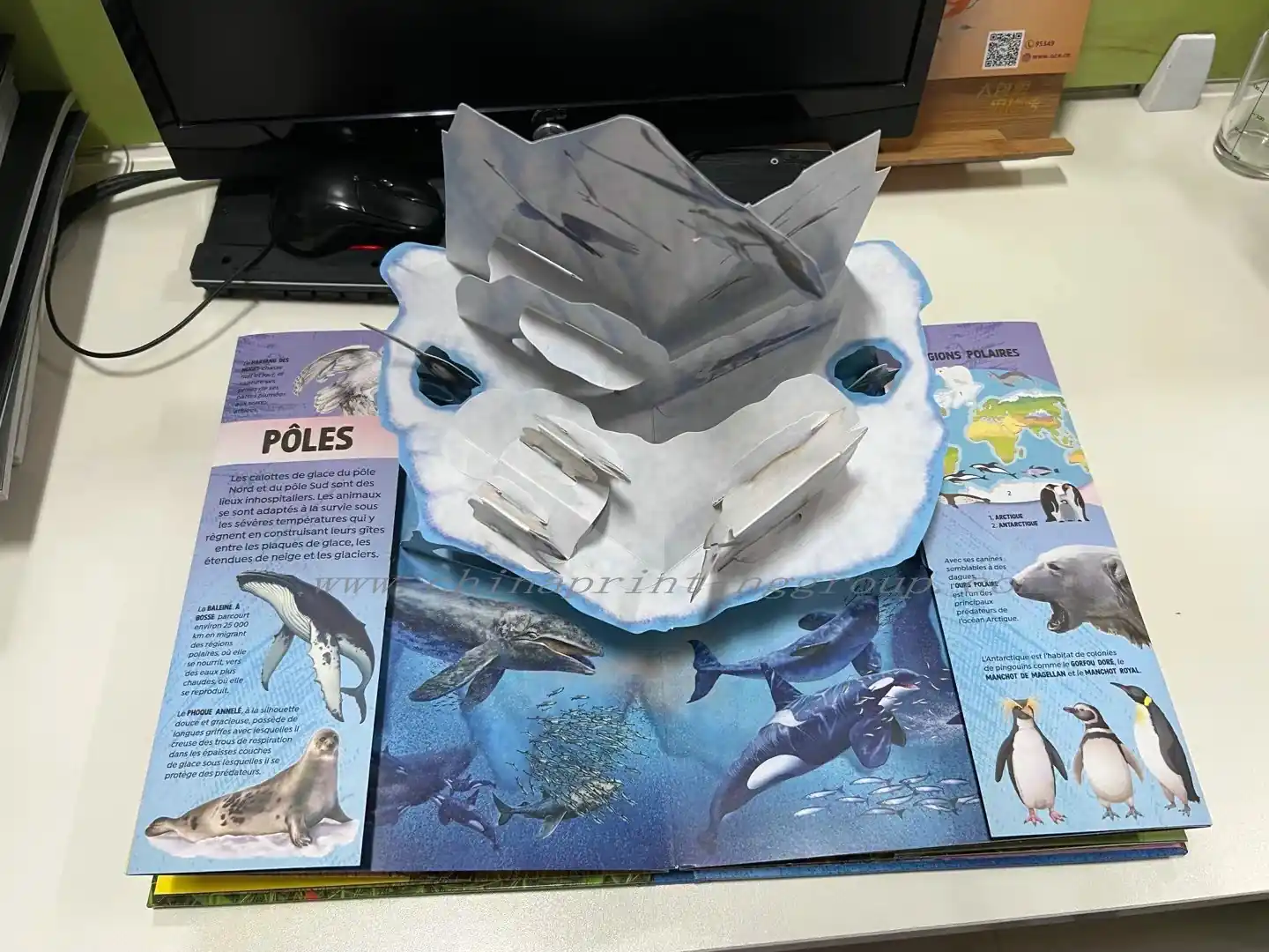 Pop up book spread with layered cardboard structures standing up