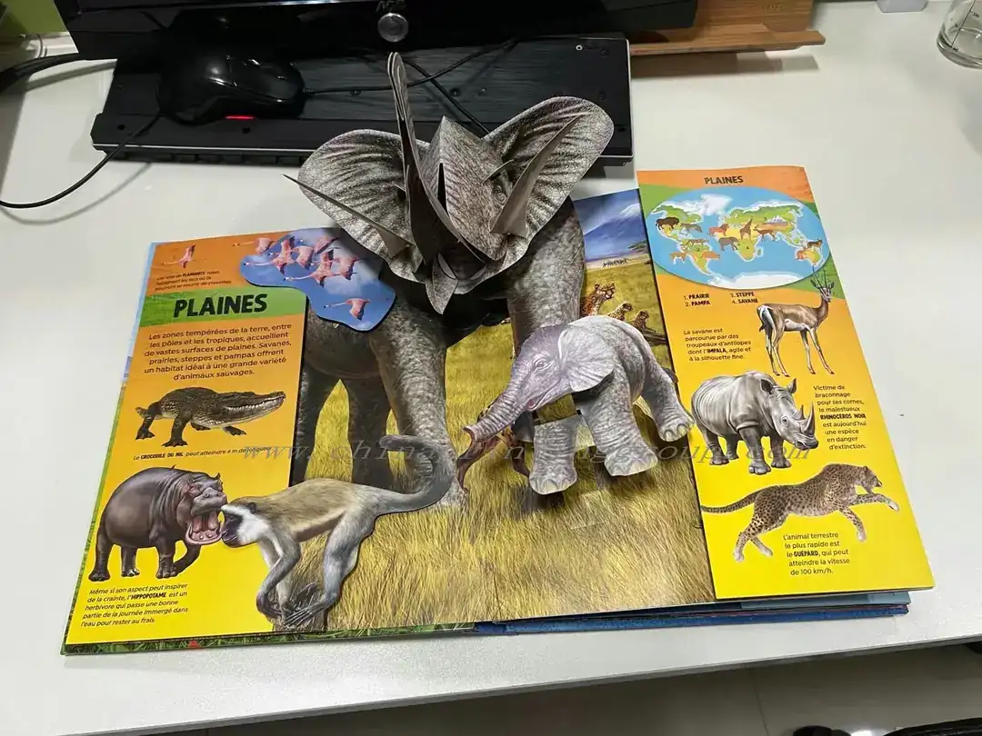 Children's 3D pop up book showing laminated printed pages