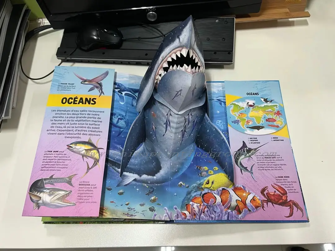 Custom printed hardcover pop up children's book cover