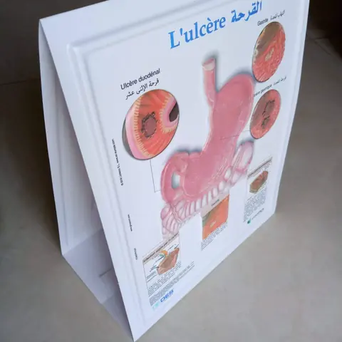 PVC posters printing printed by China Printing Group
