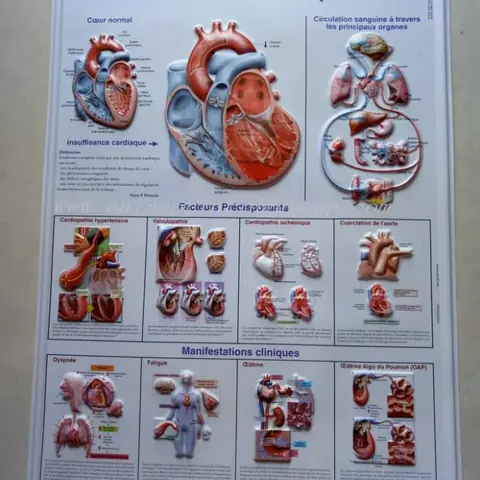 Custom 3D embossed PVC poster printed for advertising and promotion