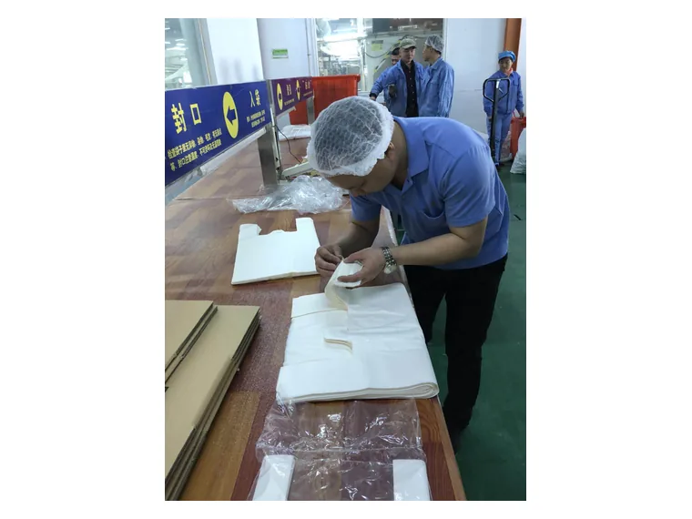 Biodegradable Tshirt Bag sourced by Haolu Trading (HK) Limited