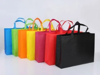Non Woven Bag view 2
