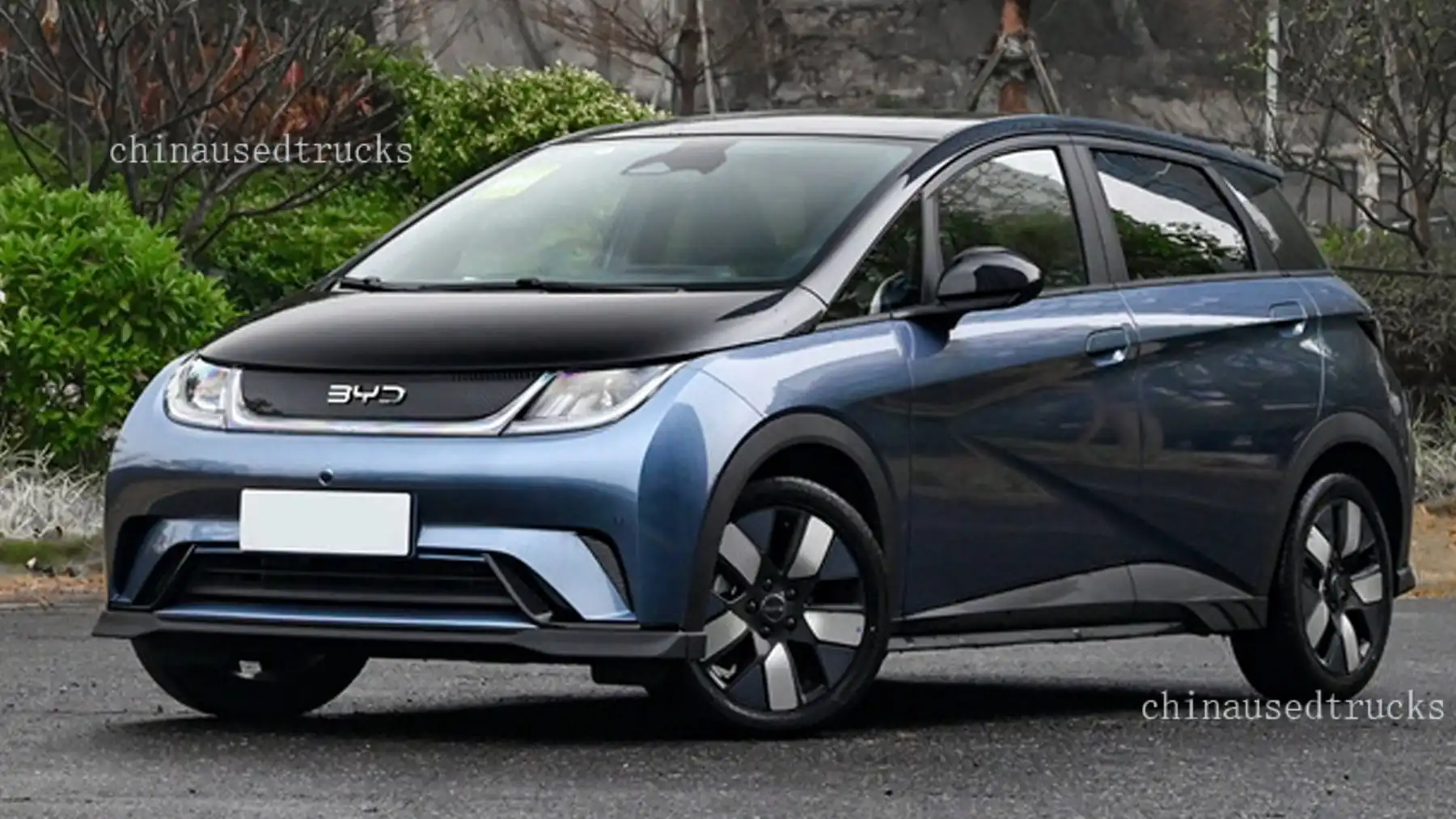 BYD Dolphin New Energy Electric Car Vehicle Has A Range Of 302/420/401km main view