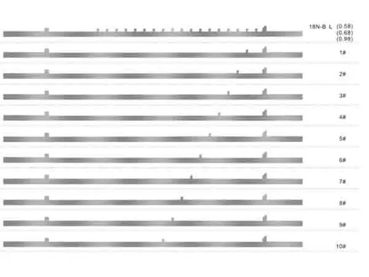 Selectors for Sock Knitting Machines (Item 1) for circular knitting machines