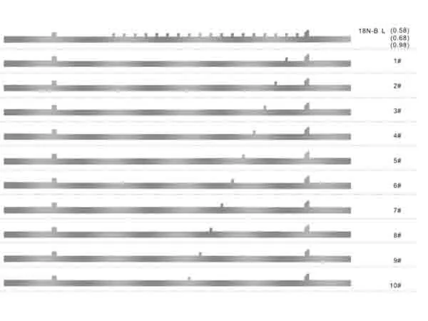Selectors for Sock Knitting Machines (Item 1)