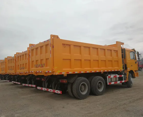 Rear view of the truck with hydraulic front lifting cylinder and mud flaps
