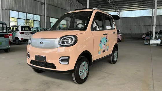 Electric Cars and Light EVs photo