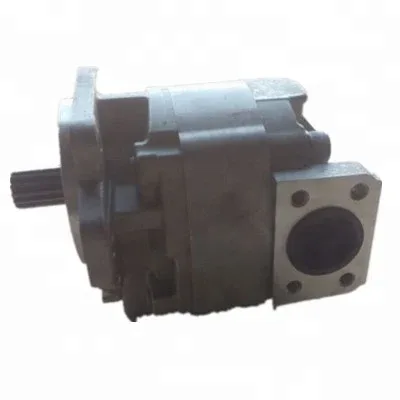 Pump assembly with seal and housing detail, showing internal gear set