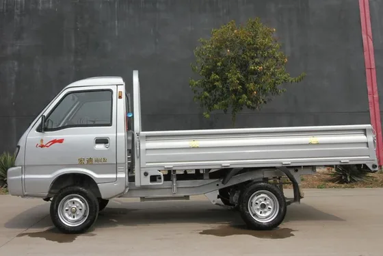 Rear view with cargo box, plate spring suspension, and rear lights