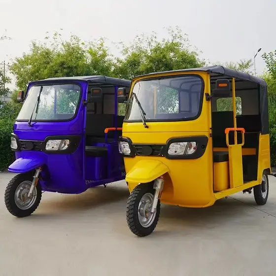 Product image of the electric tricycle passenger compartment