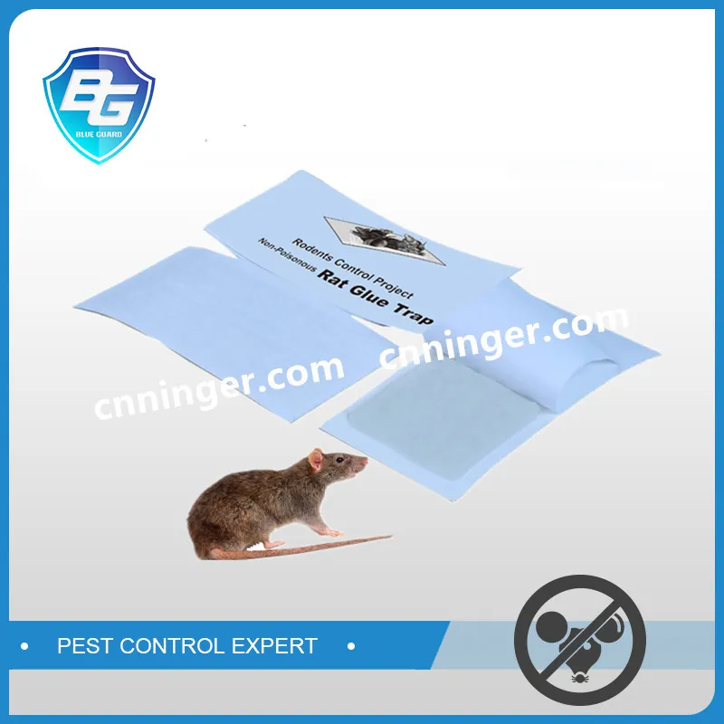Rat Glue Board Trap Paper with Release Paper-Unfoldable