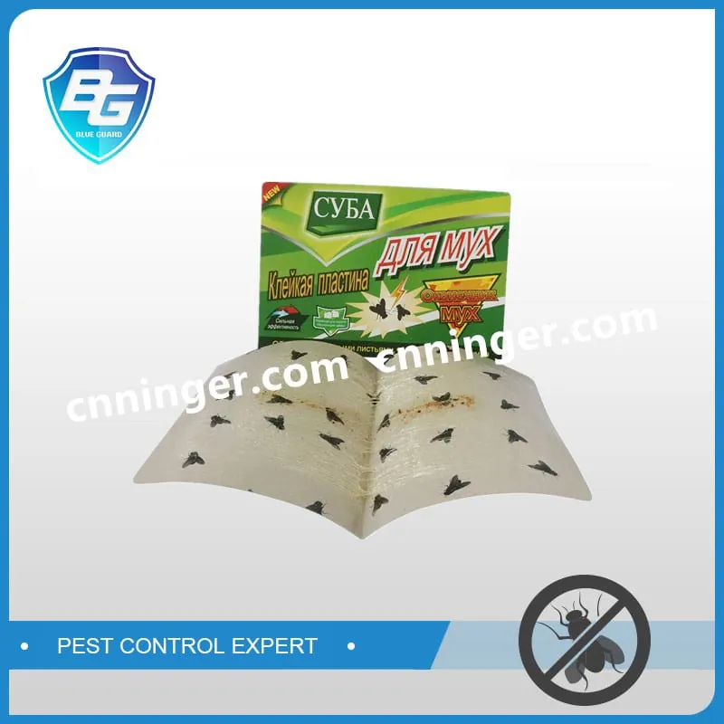 Fly Glue Traps