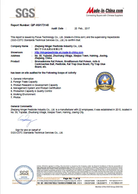 SGS on-site supplier audit report issued through Made-in-China.com, audit date 20 February 2017