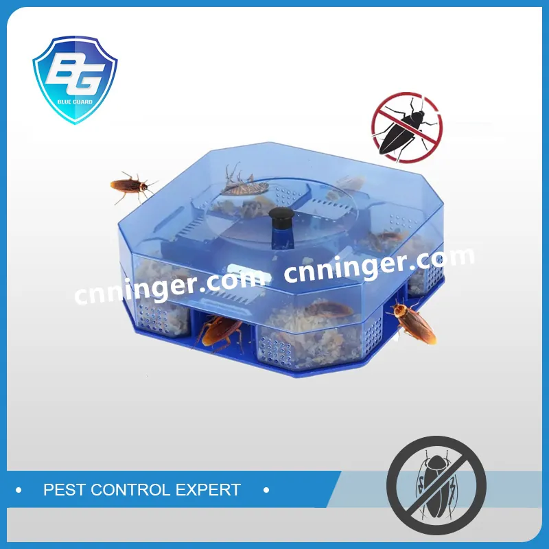 Cockroach Trap Boxes