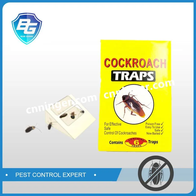 Cockroach Glue Traps