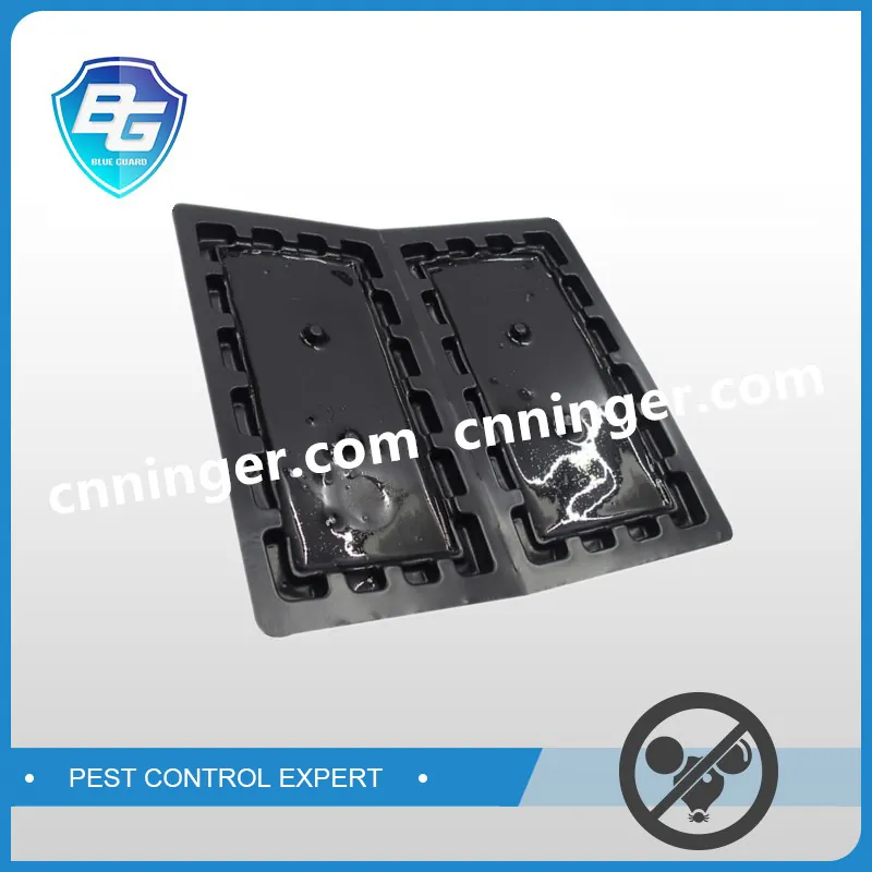 Plastic Board Rodent Glue Traps — NRTG003-2