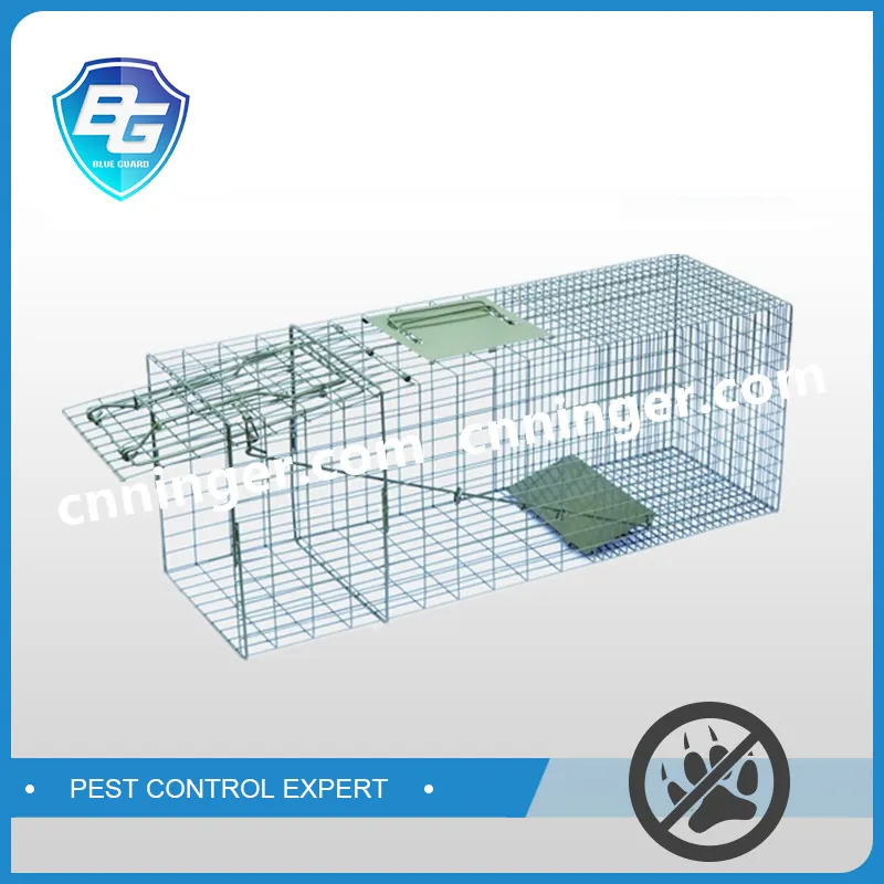 Foldable Medium & Large Pest Cage Trap — NRTM010-1