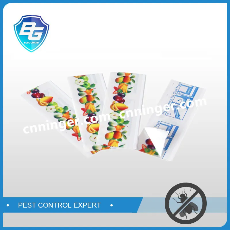 Window Fly Glue Trap — NRTG026