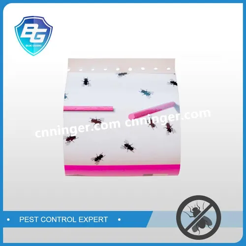 Insect Glue Traps