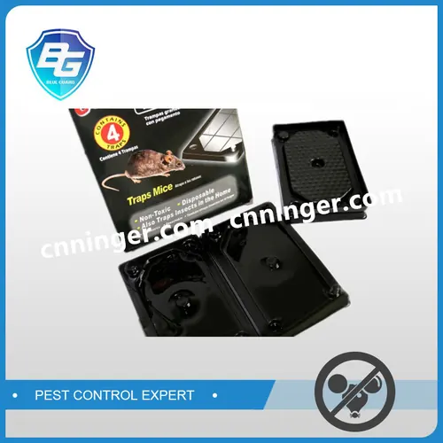 Plastic Board Rat & Mouse Glue Trap — NRTG002-1 view 3