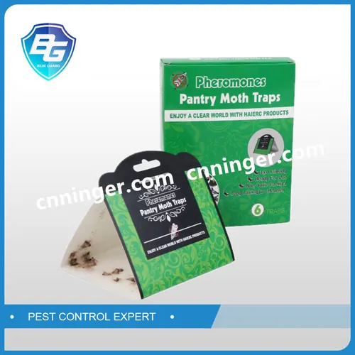 Pantry Moth Glue Trap — NRTG027P