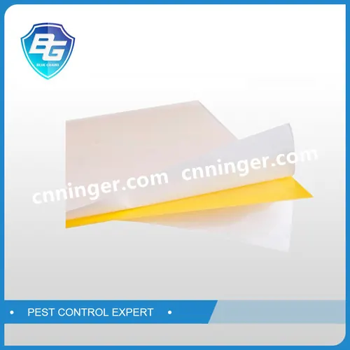 Aphid Glue Trap — NRTG020 view 3