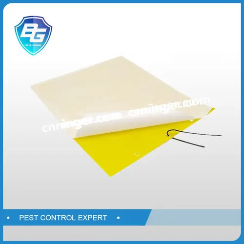 Insect Glue Trap — NRTG022