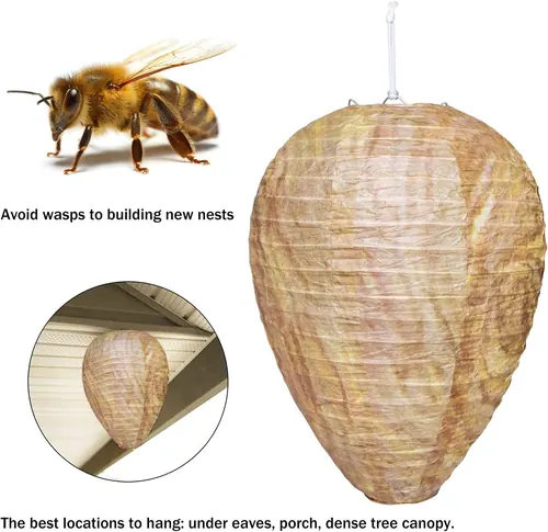 Wasp&Bee Trap — KDCB006 view 4