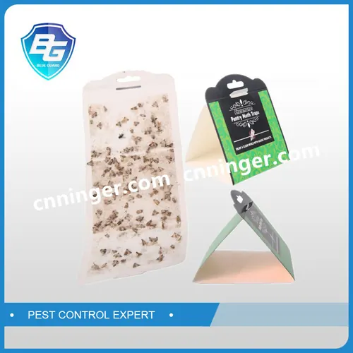Pantry Moth Glue Trap — NRTG027P view 2