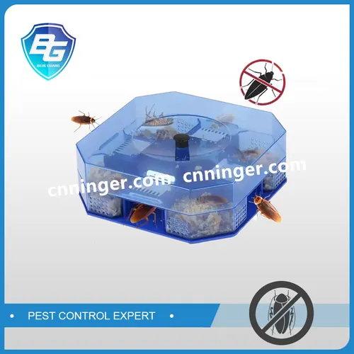 Cockroach Trap Boxes
