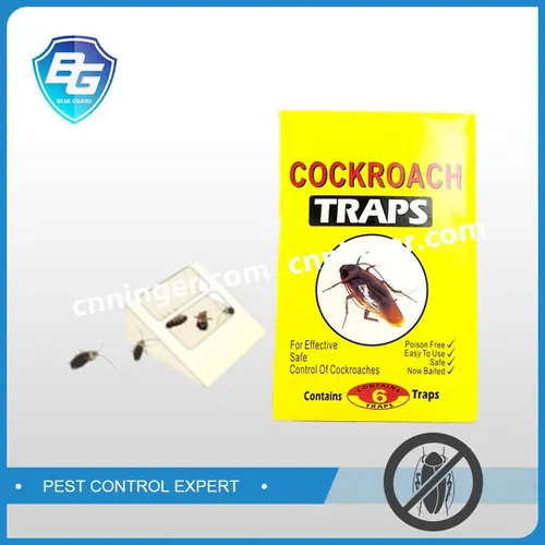 Cockroach Glue Traps