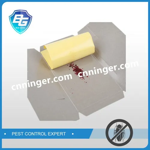 Cockroach House Glue Trap — NRTG016 view 2