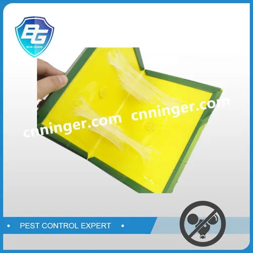 Paper Board Rat & Mouse Glue Trap — NRTG001-3 view 4