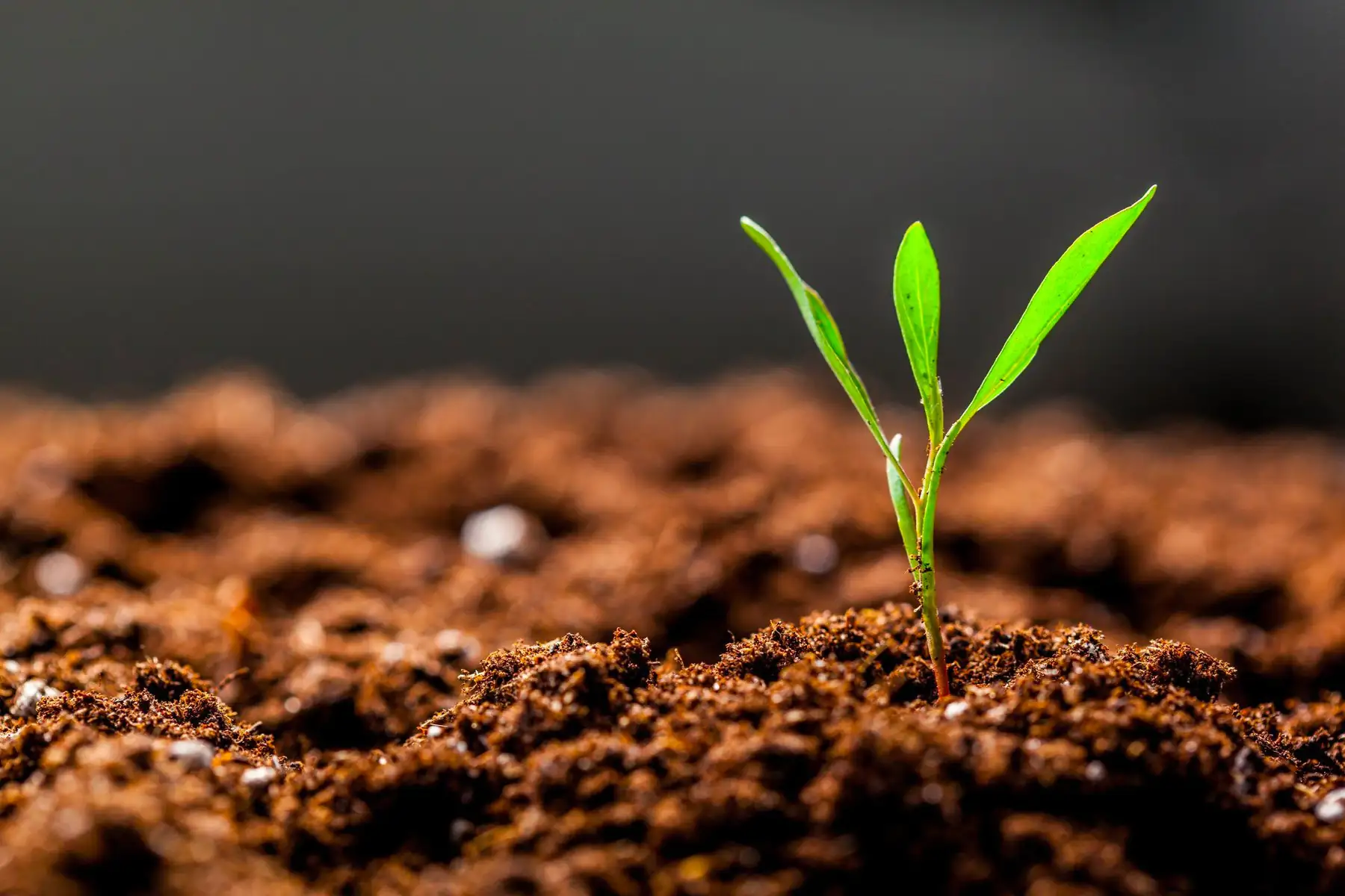 Produce Growers composting application