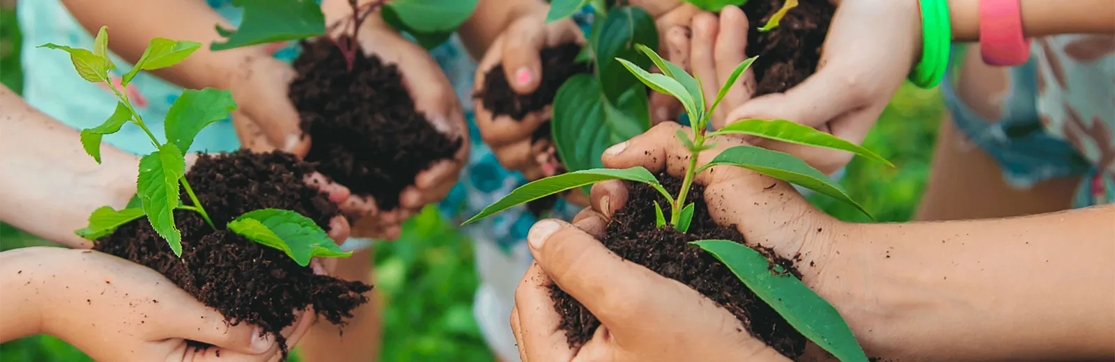 Food waste composting knowledge base
