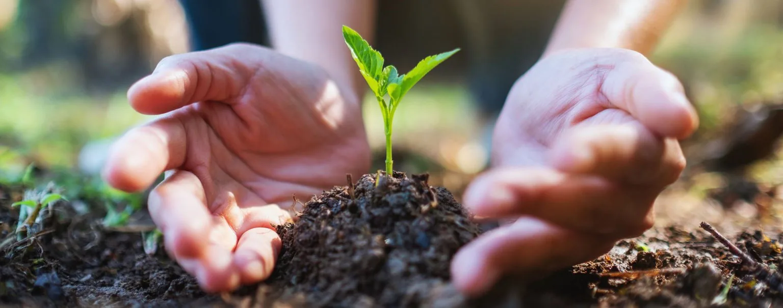 How a Food Composting Machine Works