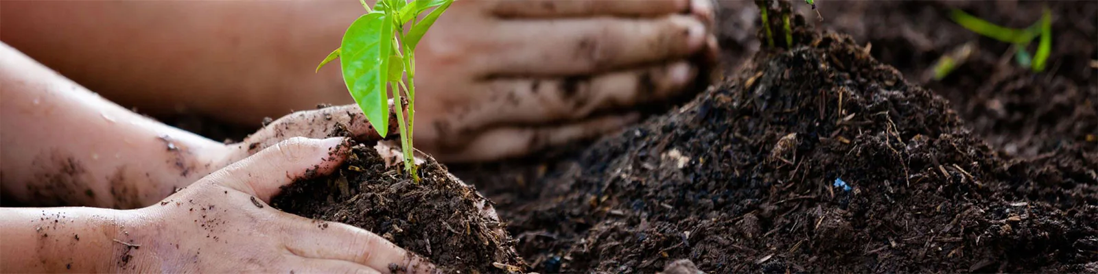 Contact the TMK Composter team